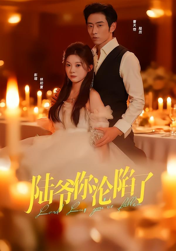 后来的我们
